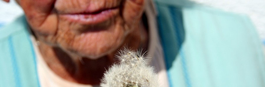 In de watten leggen - Aandacht en Ondersteuning voor Ouderen