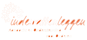 In de watten leggen - Aandacht en Ondersteuning voor Ouderen